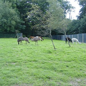 Woodlands Leisure Park. Devon