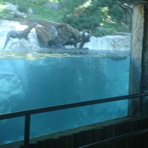 parc animalier pyrenees