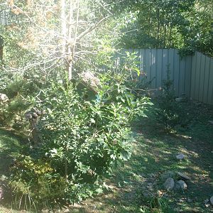 parc animalier pyrenees