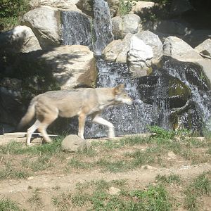 parc animalier pyrenees