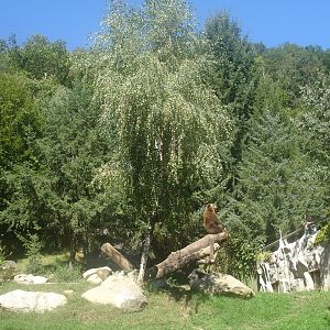 parc animalier pyrenees