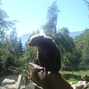 parc animalier pyrenees