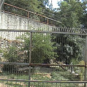 Bratislava Zoo
