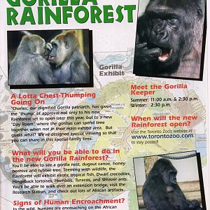 Gorilla Rainforest plan
