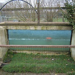 Under water viewing taken 24/03/2007