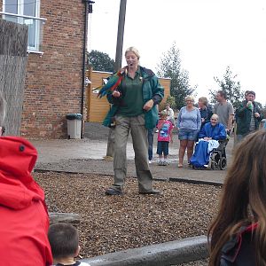 Animals Up Close Show - 06/09/2011