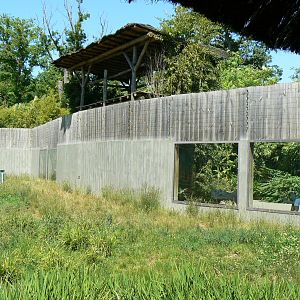 Orang-utan jungle - Outdoor enclosure fence