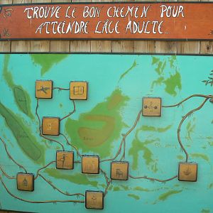 Orang-utan jungle - Educational panel