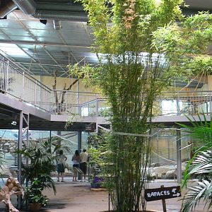 Orang-utan jungle - House general view