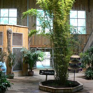 Orang-utan jungle - House general view