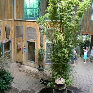 Orang-utan jungle - House general view