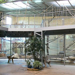 Orang-utan jungle - House general view