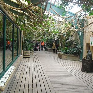 Inside the Monkey House - 16/02/2011