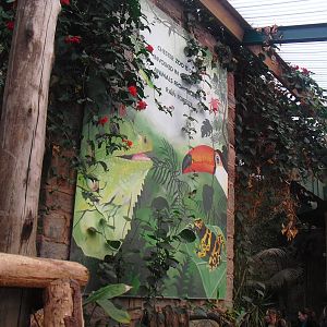 Tropical Realm Mural - 16/02/2011