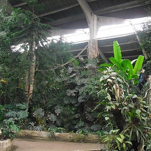 Inside Tropical Realm - 16/02/2011