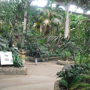Inside Tropical Realm - 16/02/2011
