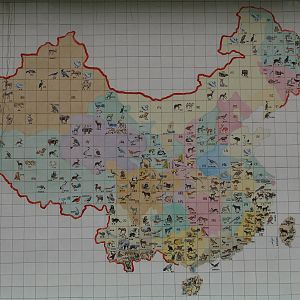 "Rare species of China"