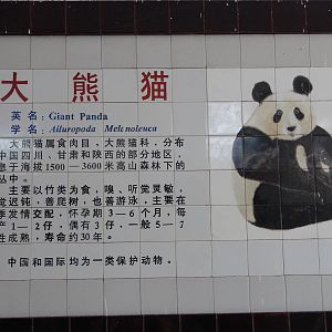 Giant Panda's ceramic sign