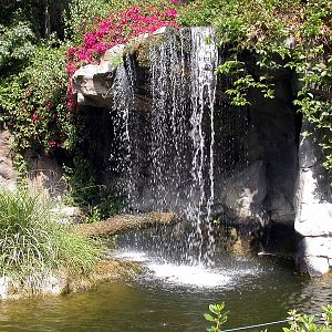 Misc exhibits in the 70's