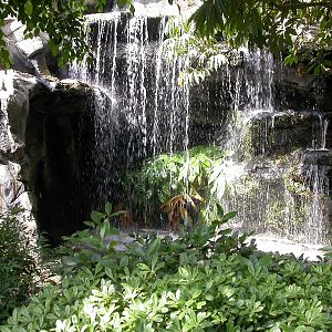 Misc exhibits in the 70's