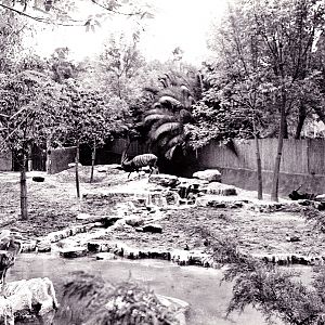 Misc exhibits in the 70's