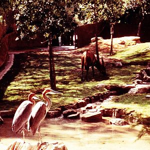 Misc exhibits in the 70's