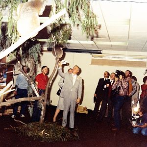 Misc exhibits in the 70's