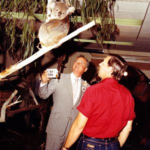 Misc exhibits in the 70's