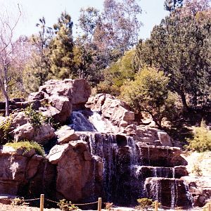 Misc exhibits in the 70's