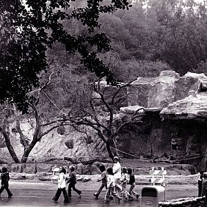 Misc exhibits in the 70's