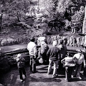 Misc exhibits in the 70's