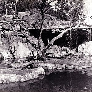 Misc exhibits in the 70's