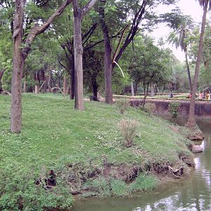 Enclosure of the Gee's Golden Langur (Trachypithecus geei)