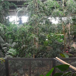 Looking Over Tropical Realm - 16/02/2011