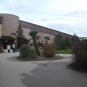 Spirit of the Jaguar Building - 06/09/2011