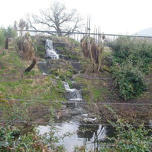 Outdoor Jaguar Enclosure - 06/09/2011