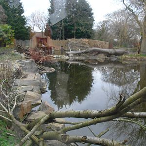 Giant Otter Enclosure - 16/02/2011