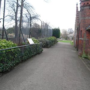 Pathway - 16/02/2011