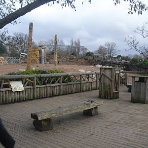 Asian Elephant Outdoor Enclosure - 16/02/2011