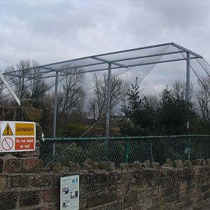 Condor Cliffs (Aviary) - 16/02/2011