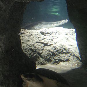 Restless Planet Exhibits