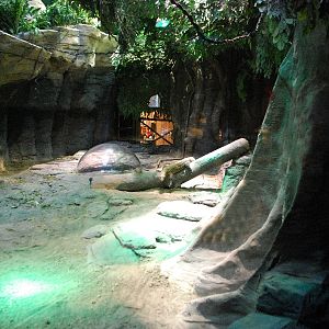 Restless Planet Exhibits