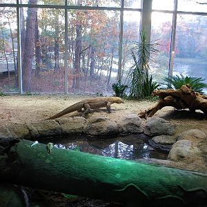 Restless Planet Exhibits