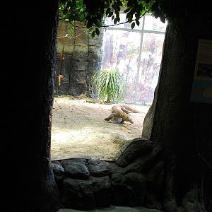 Restless Planet Exhibits