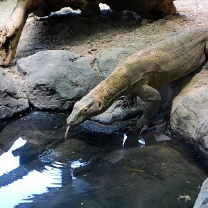 Restless Planet Exhibits