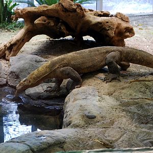 Restless Planet Exhibits