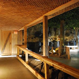 Restless Planet Exhibits