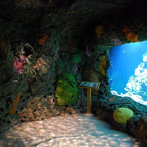 Restless Planet Exhibits