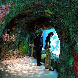 Restless Planet Exhibits