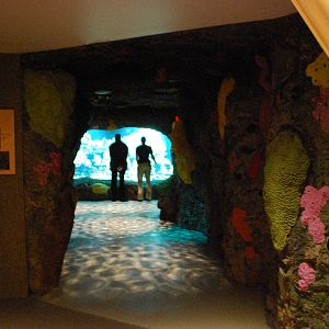 Restless Planet Exhibits